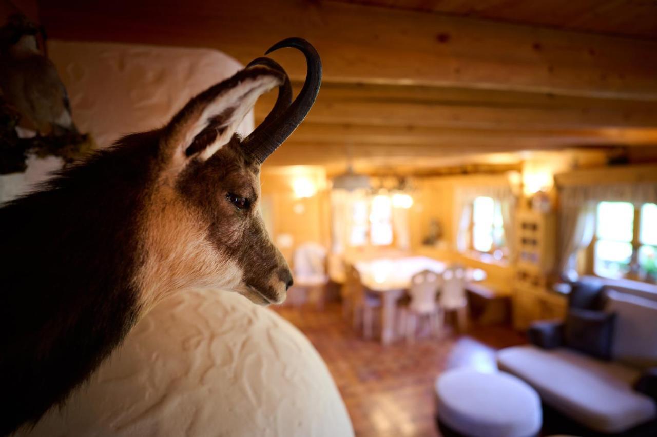 Holiday Chalet "Alpine Dreams" With Private Wellness Solcava Luaran gambar