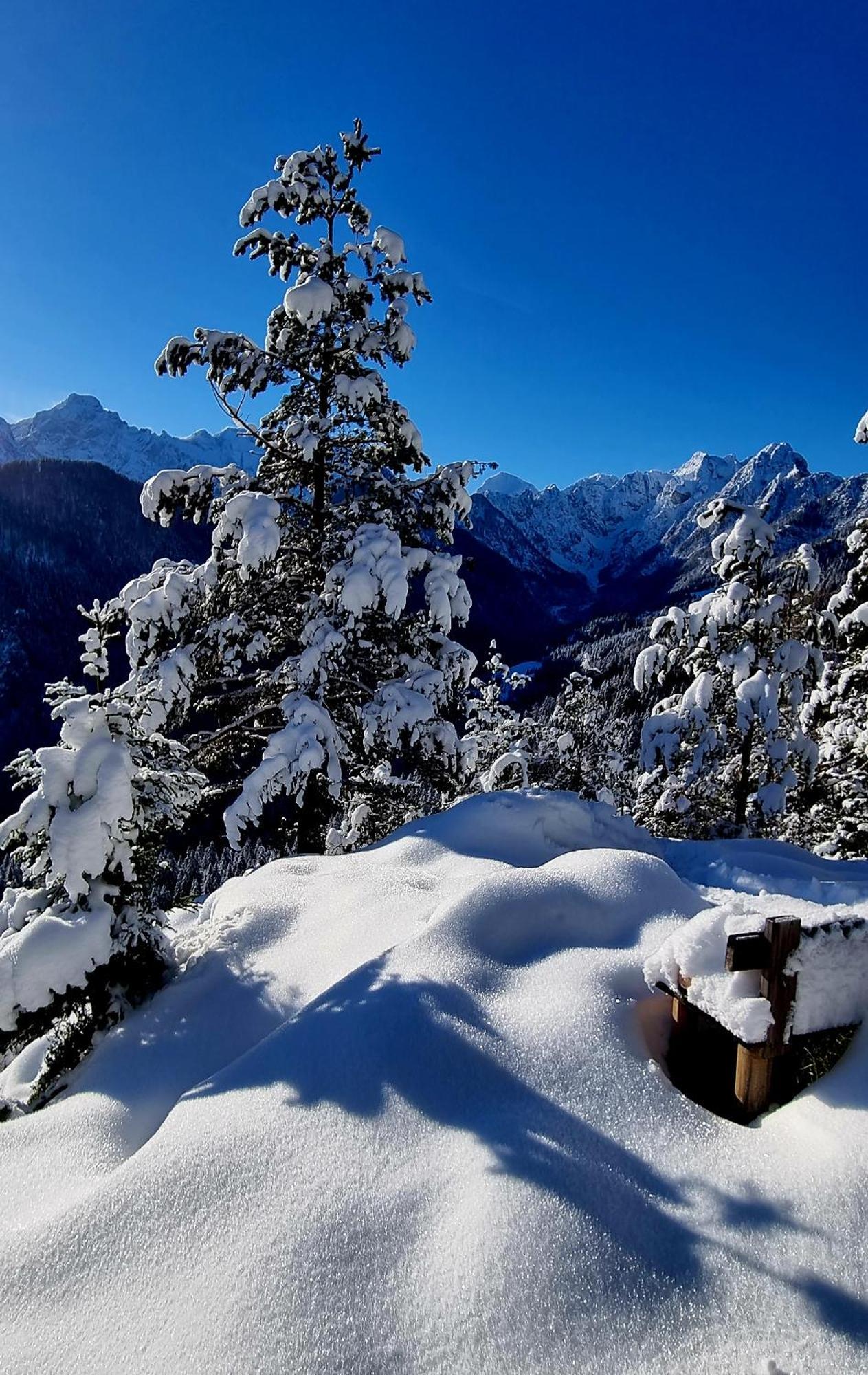 Holiday Chalet "Alpine Dreams" With Private Wellness Solcava Luaran gambar