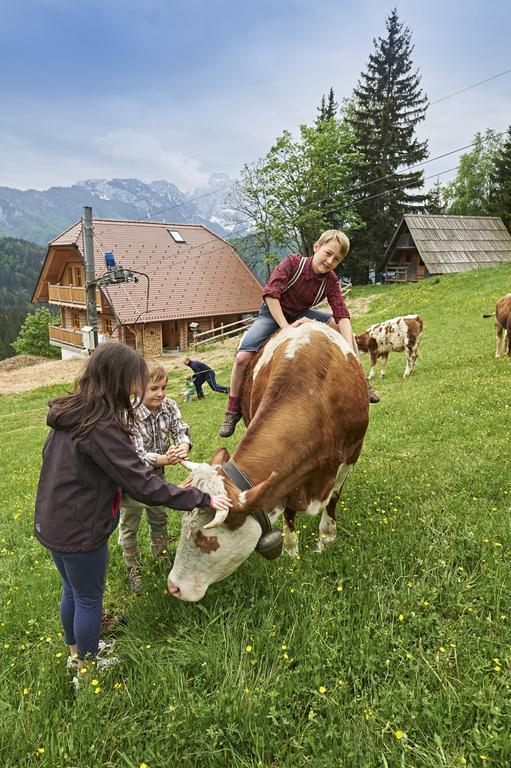 Holiday Chalet "Alpine Dreams" With Private Wellness Solcava Bilik gambar