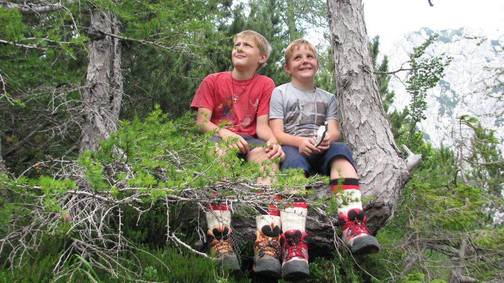 Holiday Chalet "Alpine Dreams" With Private Wellness Solcava Luaran gambar