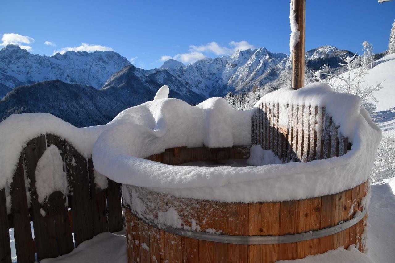 Holiday Chalet "Alpine Dreams" With Private Wellness Solcava Luaran gambar