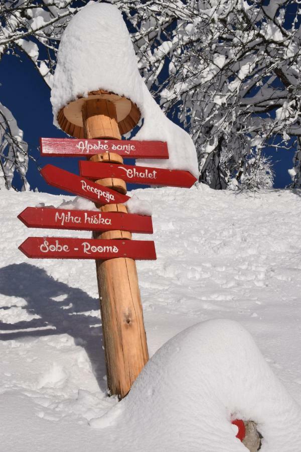 Holiday Chalet "Alpine Dreams" With Private Wellness Solcava Luaran gambar