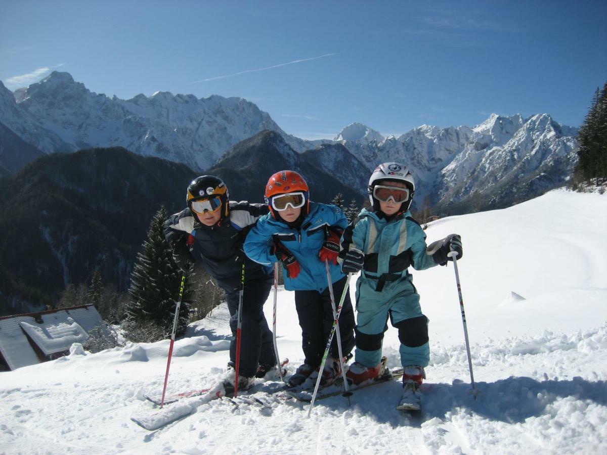 Holiday Chalet "Alpine Dreams" With Private Wellness Solcava Luaran gambar